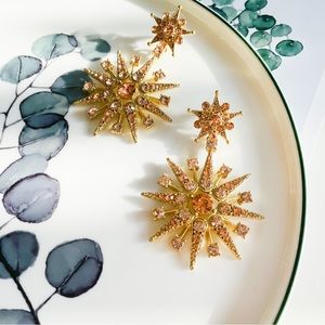 Oscar de la Renta Star Burst Earrings Peach